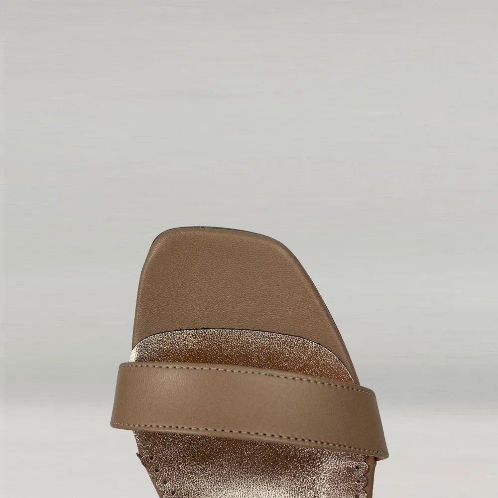 Mule Ann Tuil Arexas