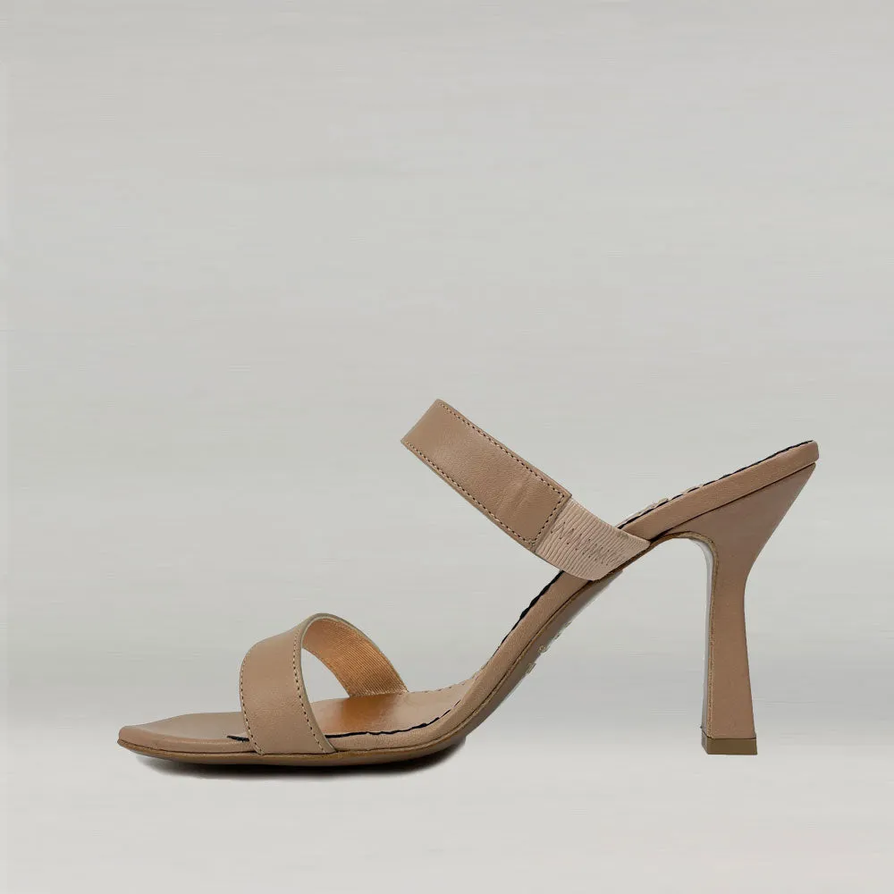 Mule Ann Tuil Arexas