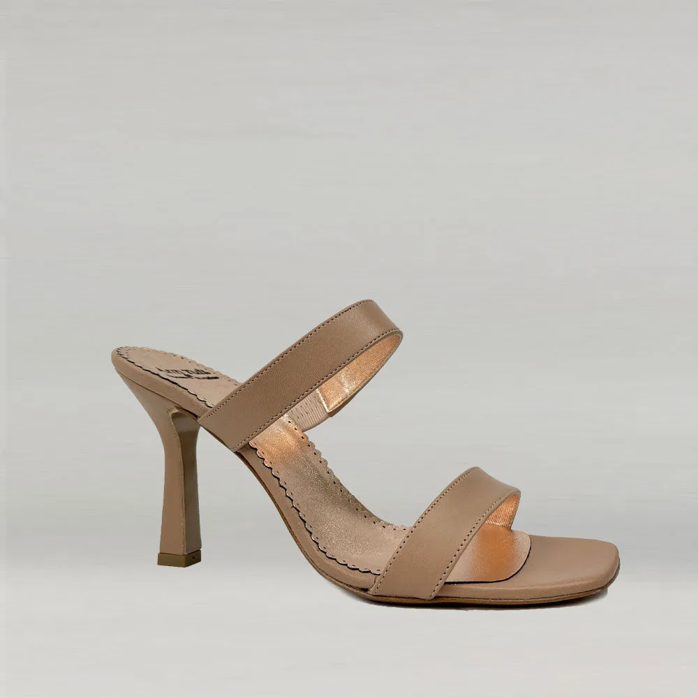 Mule Ann Tuil Arexas